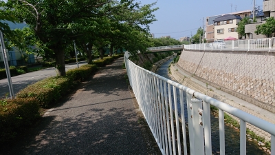 DSC_3023.JPG