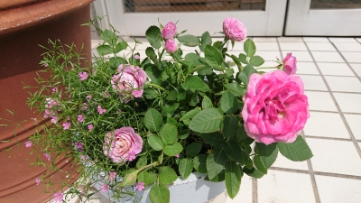 DSC_3028.JPG