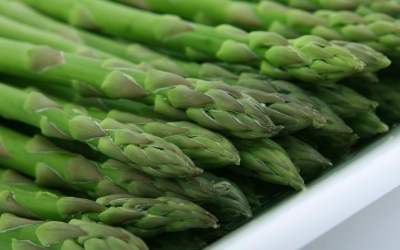 asparagus-1239161__480[1].jpg