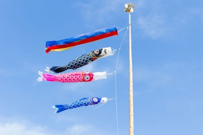 carp-streamer-2259553__480[1].jpg