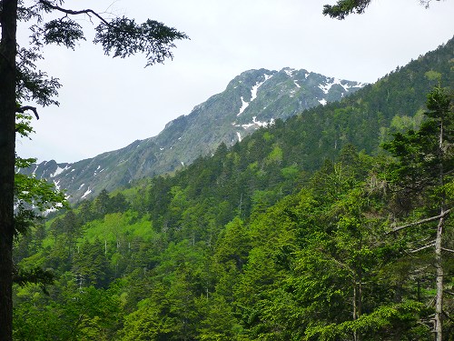 P1250341.jpg