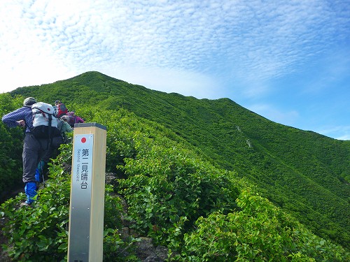 P1260043.jpg