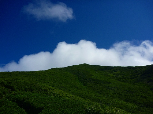 P1260136.jpg