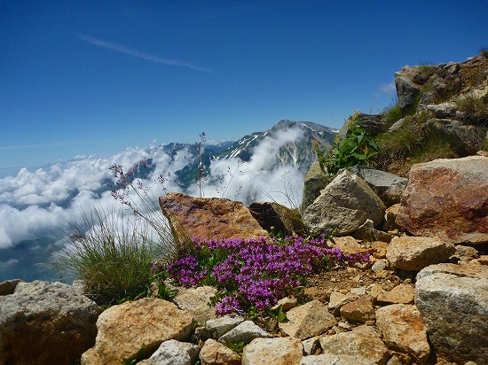 P1260742.jpg