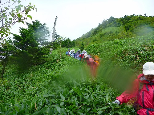 P1270139.jpg