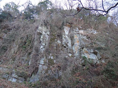 DSC03996.jpg