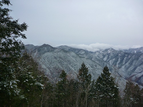 P1290916.jpg