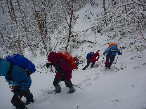 P1290937.jpg