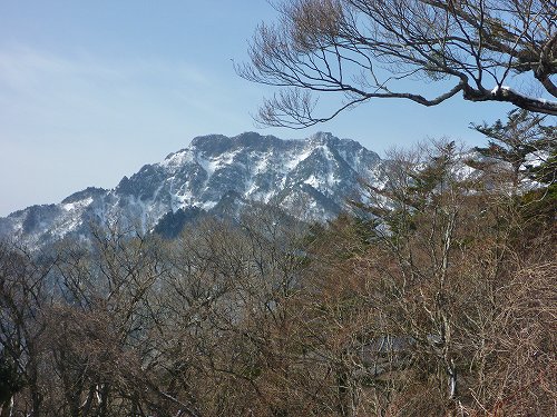 P1300058.jpg