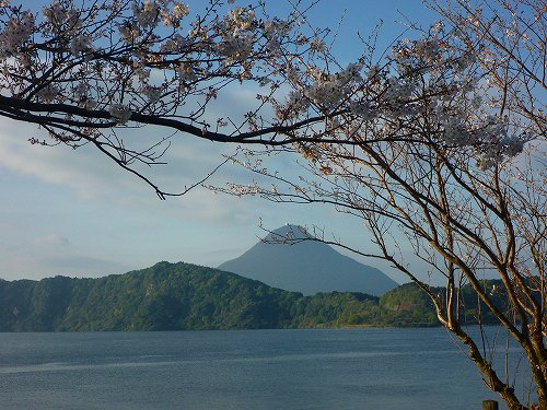 P1300334.jpg