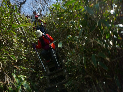 P1300419.jpg