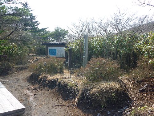 P1300422.jpg