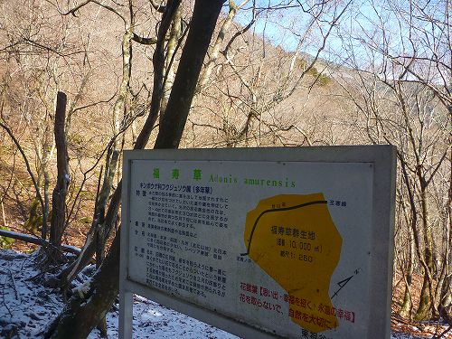 P1300525.jpg