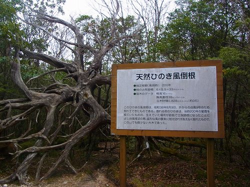 RIMG0051.jpg
