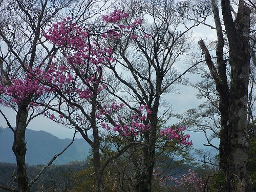 P1300891.jpg