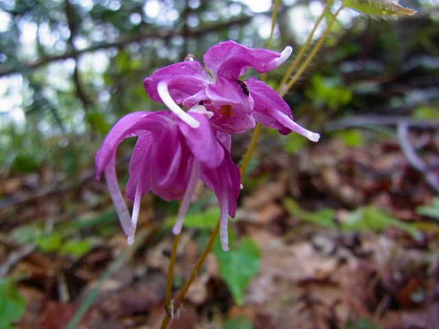 rR0010023.jpg