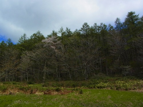 R0010372.jpg