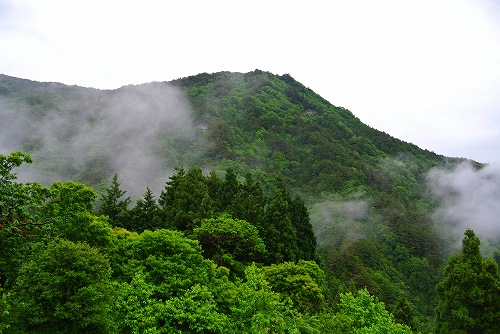 DSC_0294.jpg