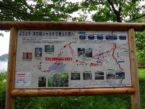 DSC06047.jpg