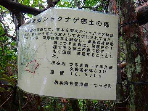 DSC06061.jpg