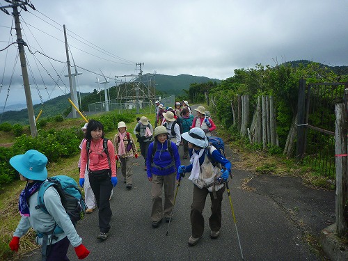 P1310515.jpg