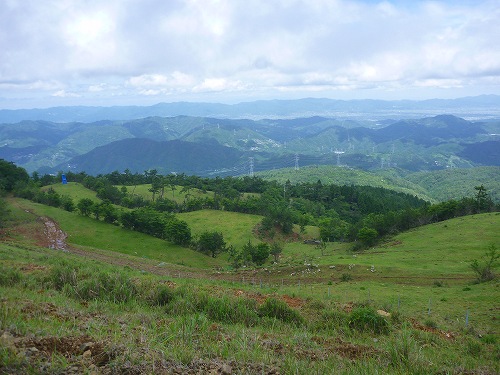 P1310520.jpg