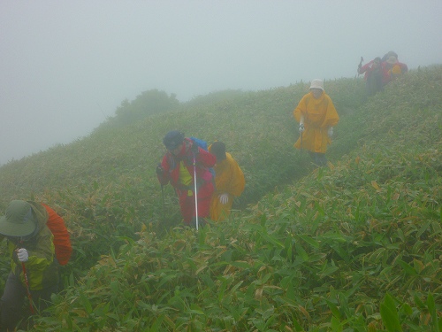 P1310567.jpg