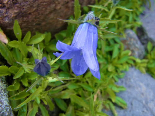 RIMG0548.jpg