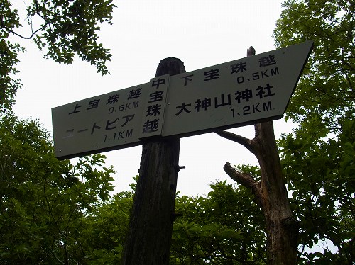 RIMG0041.jpg