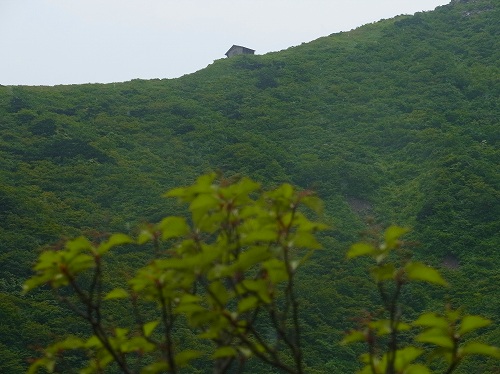 RIMG0053.jpg