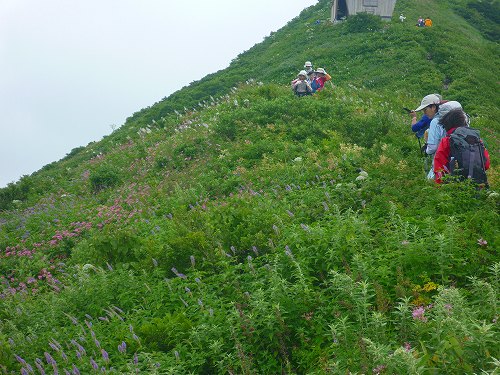 P1320242.jpg