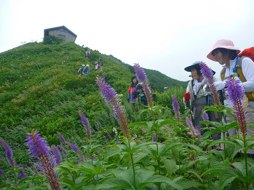 P1320263.jpg