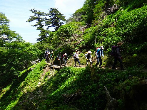 DSC07180.jpg