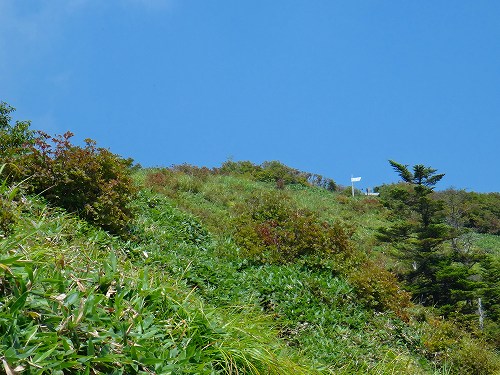 DSC07237.jpg