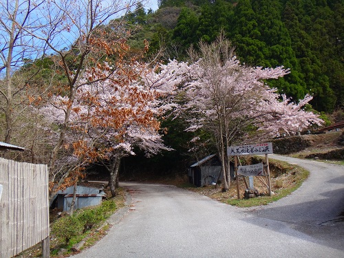 DSC05987.jpg