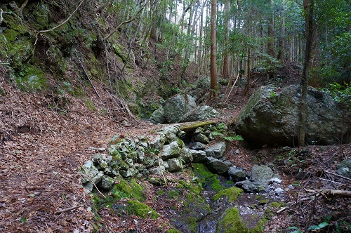 DSC01076.jpg