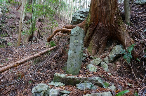DSC01077.jpg