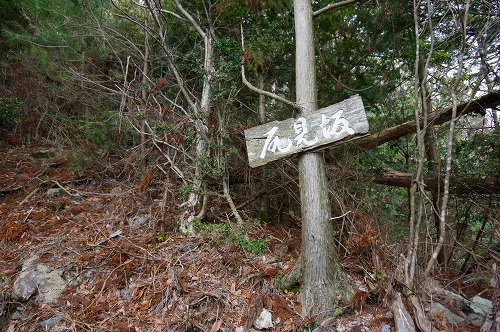 DSC01086.jpg