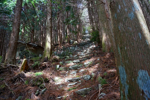 DSC01095.jpg