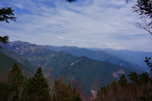 DSC01102.jpg