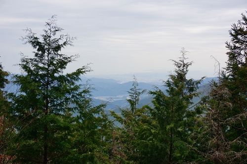 DSC01107.jpg