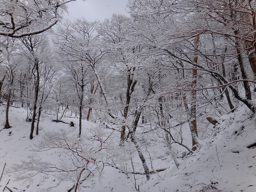 DSC00679.jpg