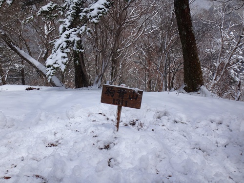 DSC06034.jpg