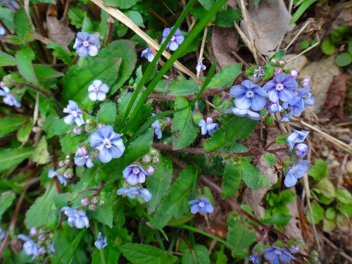 DSC07089.jpg