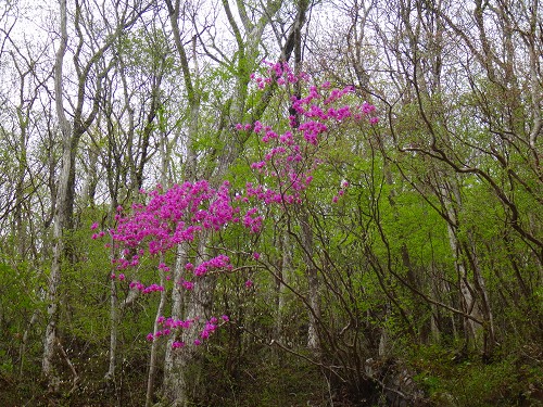 DSC07110.jpg