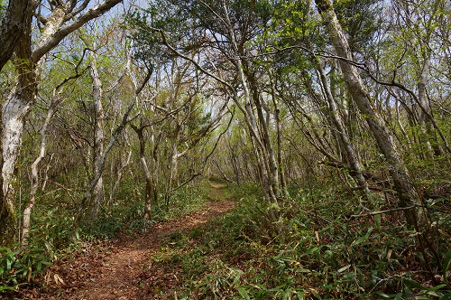 DSC02065.jpg