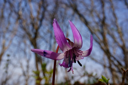 DSC02105.jpg