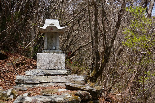 DSC02109.jpg