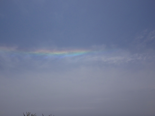 DSC07150.jpg