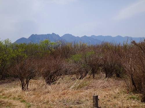 DSC07179.jpg
